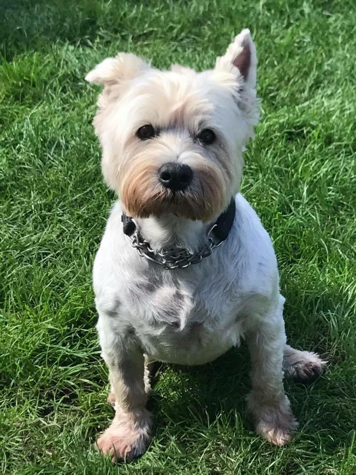Barnnie